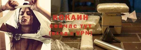 стаф Мегион