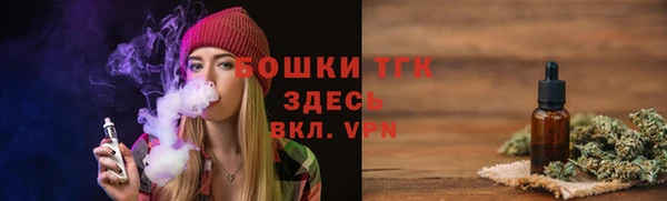 спайс Ельня