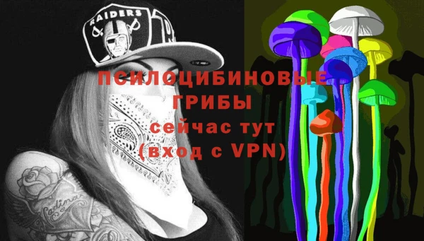 соль курить ск Медвежьегорск