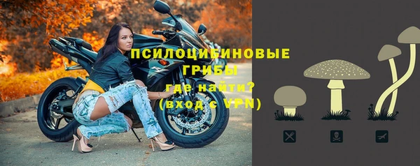 стаф Мегион