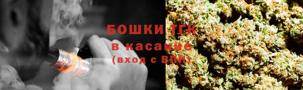 МДПВ Елизово
